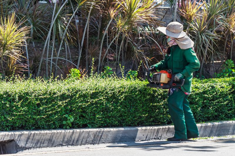 Landscaper Working on a Hedge