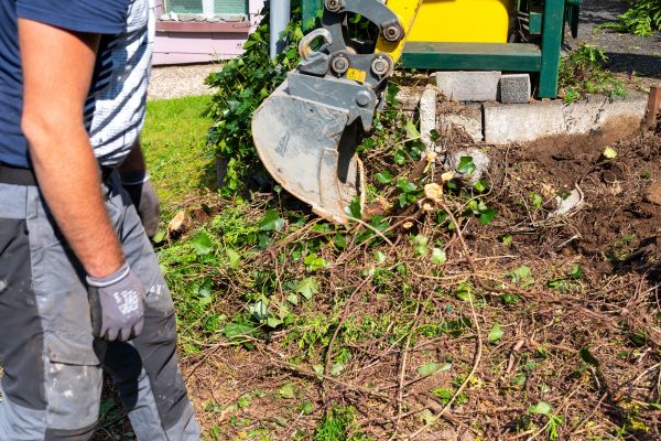Hedge Removal Service in Encinitas