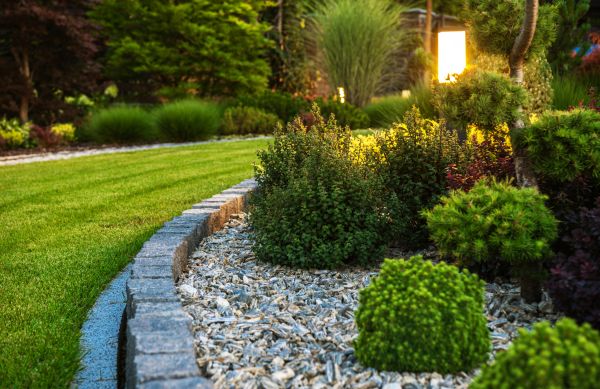Cost of Bush Relocation in Encinitas