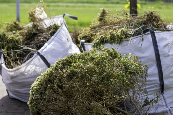 Cost of Shrubs Removal in Encinitas