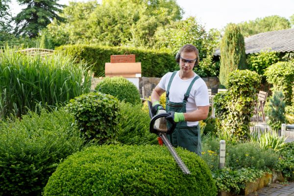 Shrubs Trimming in Encinitas